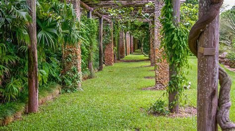 Fairchild Tropical Botanical Gardens | The Survival Gardener