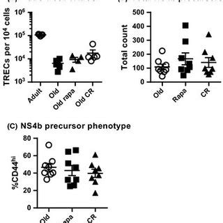 Rapamycin And Calorie Restriction Differently Alter T Cell Subset