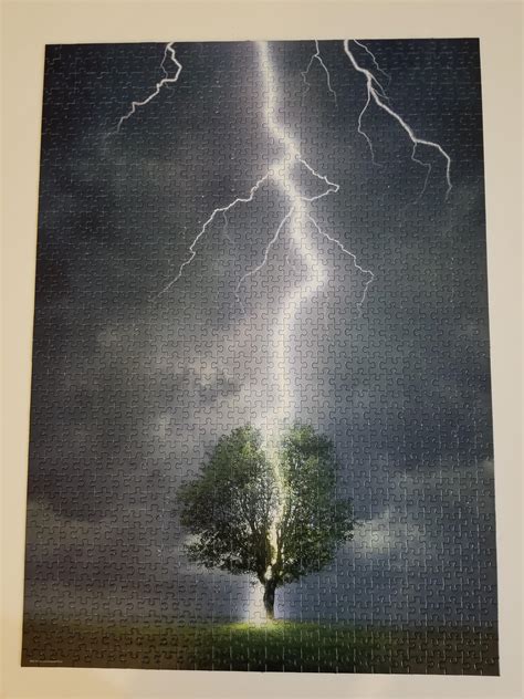 Lightning Striking Tree - Eurographics 1000 pieces : r/Jigsawpuzzles