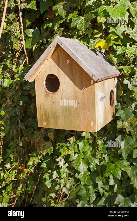 Caja nido para ardillas fotografías e imágenes de alta resolución Alamy