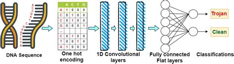 1 Dimensional Convolutional Neural Network 1d Cnn Architecture The