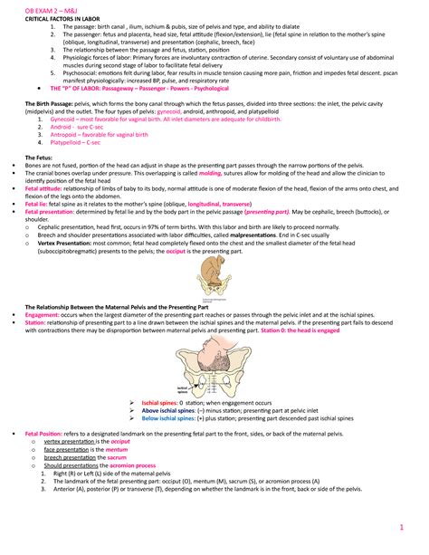 OB Exam 2 Study Guide OB EXAM 2 CRITICAL FACTORS IN LABOR 1 The