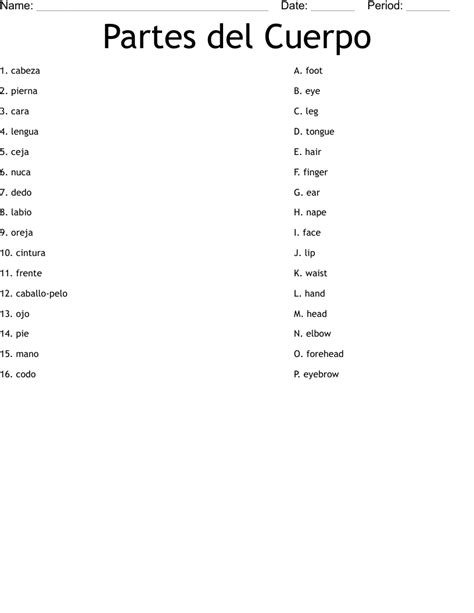 Partes Del Cuerpo Worksheet Wordmint