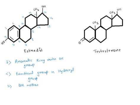 SOLVED: • Explain the functional distinction between water-soluble and lipid-soluble hormones ...