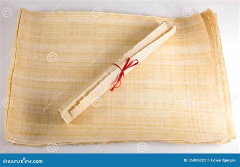 Historic Old Papyrus Roll Blank Message Stock Photography Image