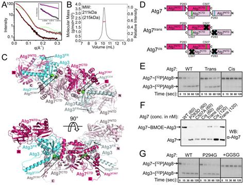 atg transfer  atg  atg  distinctive   architecture