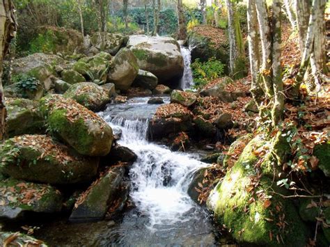 Una Ruta En Cercedilla Los Mejores Planes Para Mayo