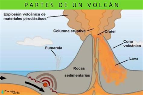 Partes De Un Volc N Resumen Y Esquemas