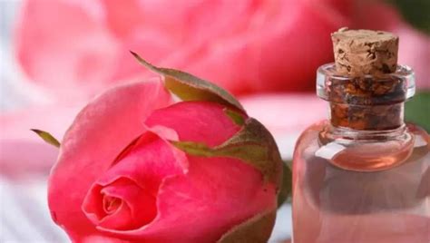 स्किन के लिए गुलाब जल ग्लिसरीन और नींबू के फायदे Benefits Of Rose Water Glycerin And Lemon