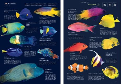 熱帯魚 ―――― 水の生き物図鑑1／葛西臨海水族園 (BRUTUS) | dマガジン