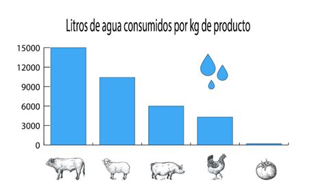 Mejores tiendas online de productos para anélidos