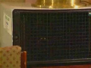 MICHELLE VALLEY Nude AZNude