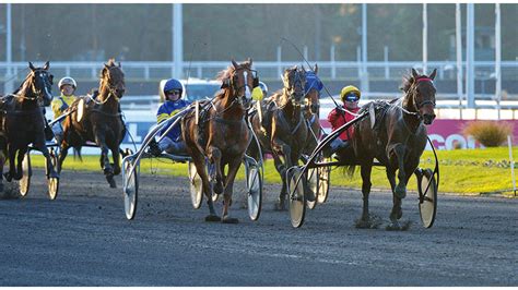 Bold Eagle remet les pendules à lheure LETROT