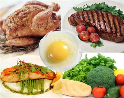 Low carb high protein diet | foodlowcarb