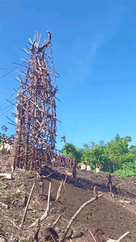 The Naghol ritual of land diving practiced on Pentecost Island, Vanuatu ...