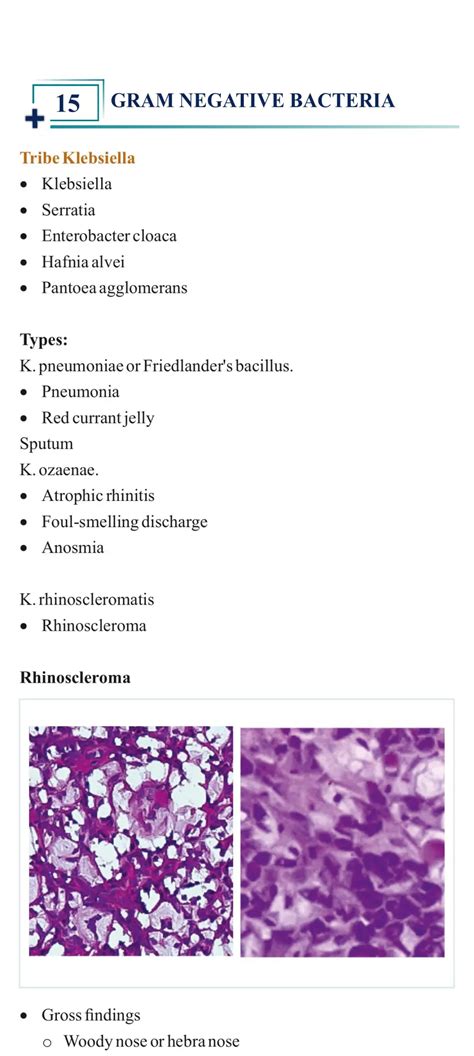 Prepare Physiology Online With Dr Soumen Manna At Prepladder