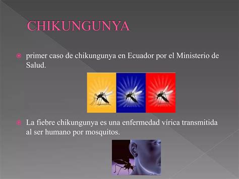 El Mosquito Chikungunya PPT