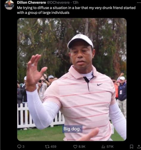 Tiger Woods "Big Dog" | Know Your Meme