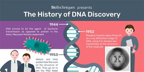 The history of DNA discovery - BioTechniques