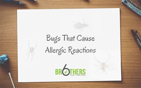 Bugs That Cause Allergic Reactions - And What to Do About Them | Six ...