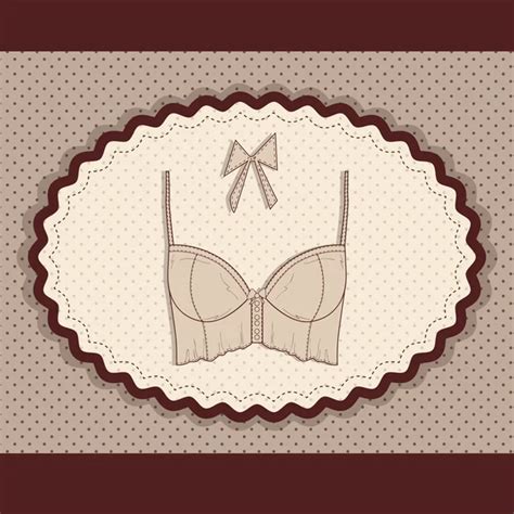 Set Vectot Lingerie Stock Vector By ClassyCatStudio 21139577