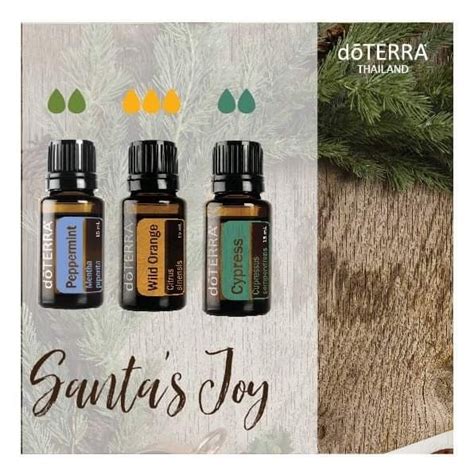 Santa's Joy | Essential oil blends recipes, Doterra diffuser blends ...