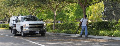 Gas Vs Electric Leaf Blowers Pro Sweep