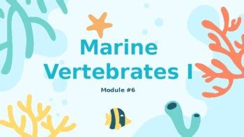 Apologia Marine Biology Module By Winona Allaire Tpt