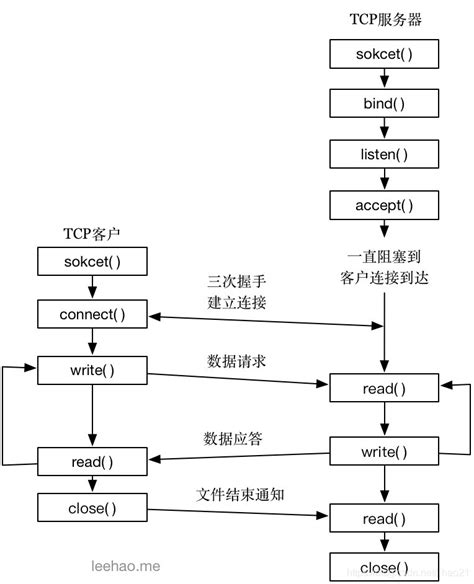 Tcp套接字编程入门 Leo的技术分享