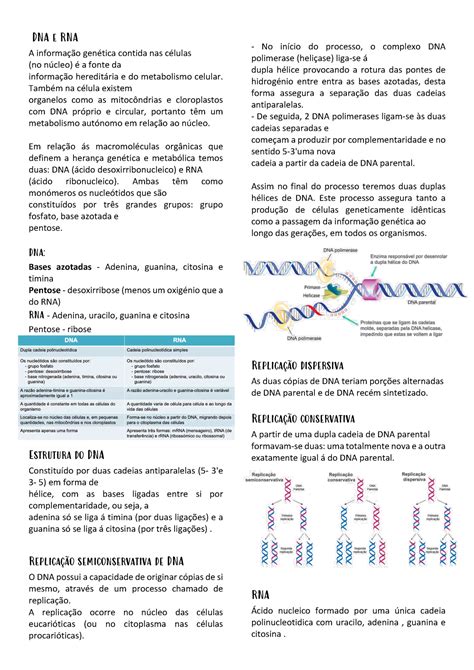 Resumos Completos Da Materia Biologia Para Exame Nacional Ano