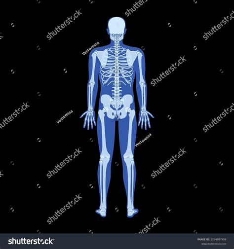 Actualizar 74 Fondos Del Cuerpo Humano última Vn