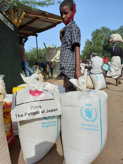 Wfp In Kenya On Twitter Head Of Wfp In Dadaab Scoops Food For