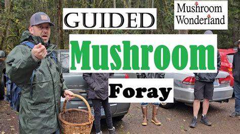 Guided Mushroom Foray With A Group Of Beginners YouTube