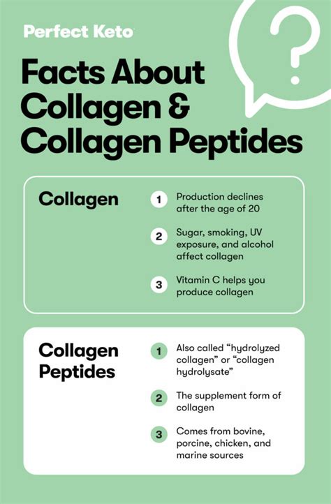 Collagen vs. Collagen Peptides: Understanding the Difference - Perfect Keto