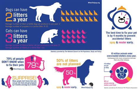 Spay Neuter Information Humane Society Of Louisiana