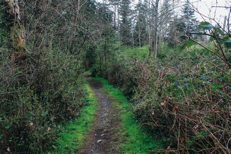 Coles Bay at the Saanich Inlet | Victoria Trails