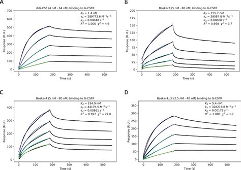 The Designs Bind To The Human G Csf Receptor Spr Titration Sensorgrams