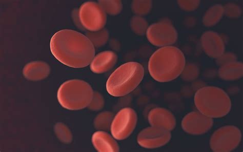 Hemoglobin Electrophoresis: Uses, Procedure, Results