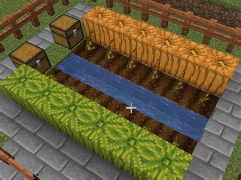 Cómo Conseguir o Plantar Calabazas en Minecraft Fácilmente Mira Cómo