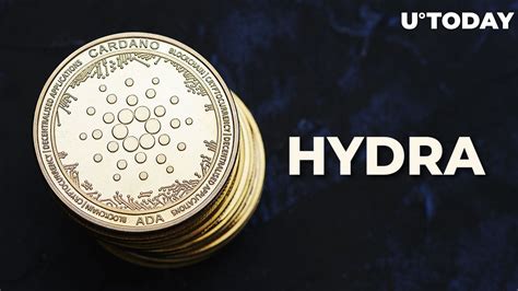 Cardano Hydra Solution Prepares For Mainnet Beta Release Details