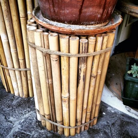 Come Utilizzare Le Canne Di Bambu Pannelli Termoisolanti