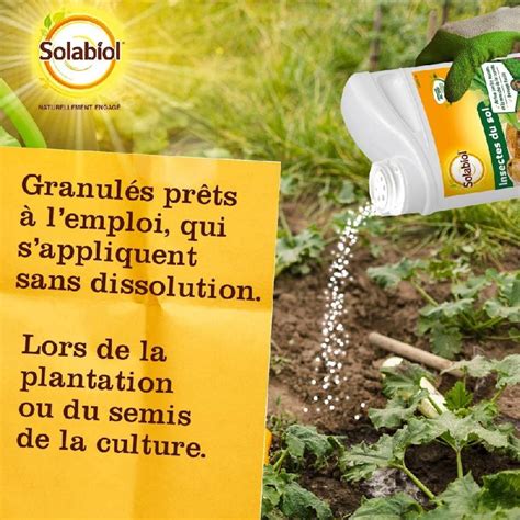 Traitement Des Insectes Sol Solabiol 600g Granulés Prêt à Lemploi