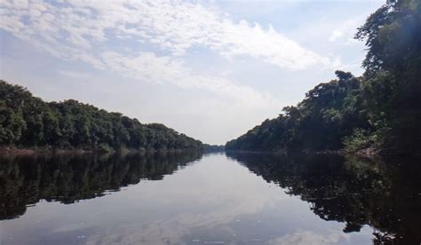 Passeios Em Manaus Os Melhores Para Você Curtir O Amazonas