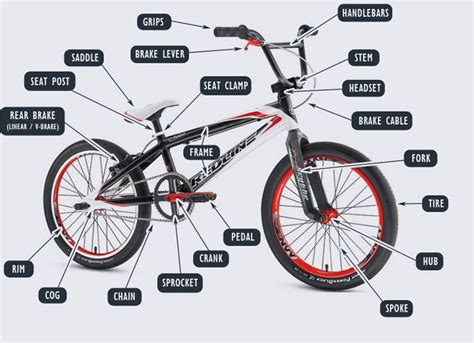 Mongoose Mountain Bike Parts Diagram | Reviewmotors.co