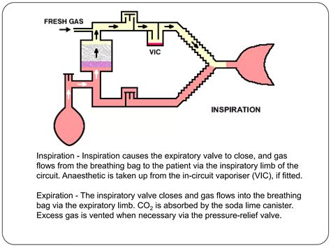 water breathing 11th form 1