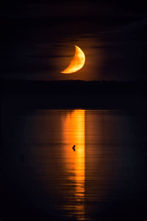 Moonset over Casco Bay — Jamie Malcolm-Brown Photography