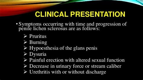 Balanitis Xerotica Obliterans Bxo Penile Lichen Sclerosis