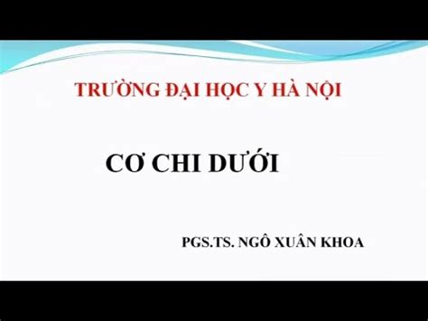 CƠ CHI DƯỚI PGS TS NGÔ XUÂN KHOA YouTube