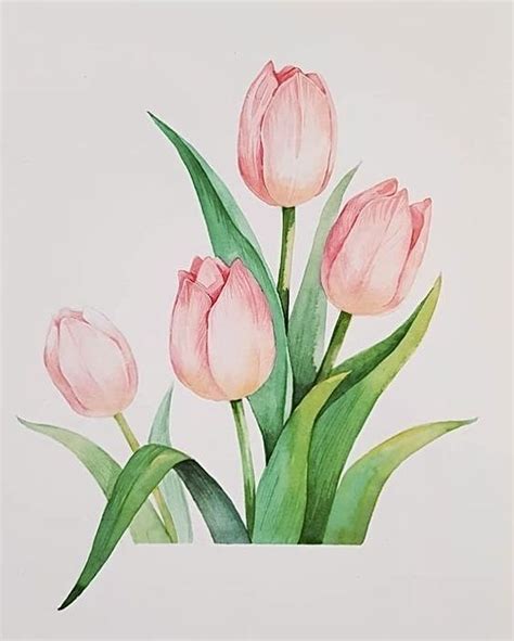 Impressionist Tulip Painting Watercolor Flower Art Tulip Painting