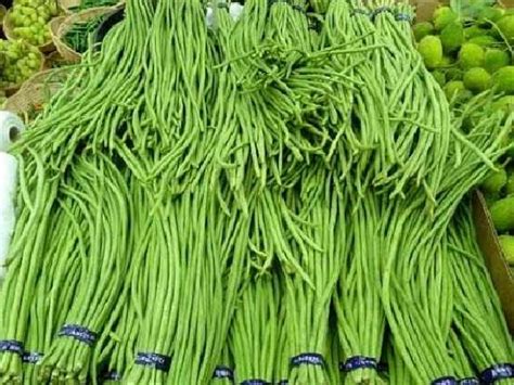 Сорта спаржевой фасоли: отзывы, описание, фото